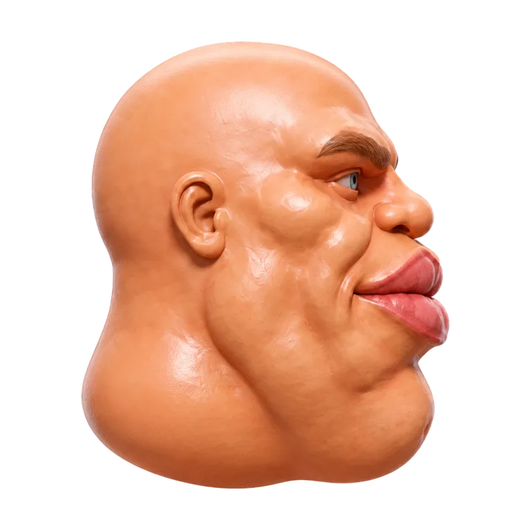 The lower jaw